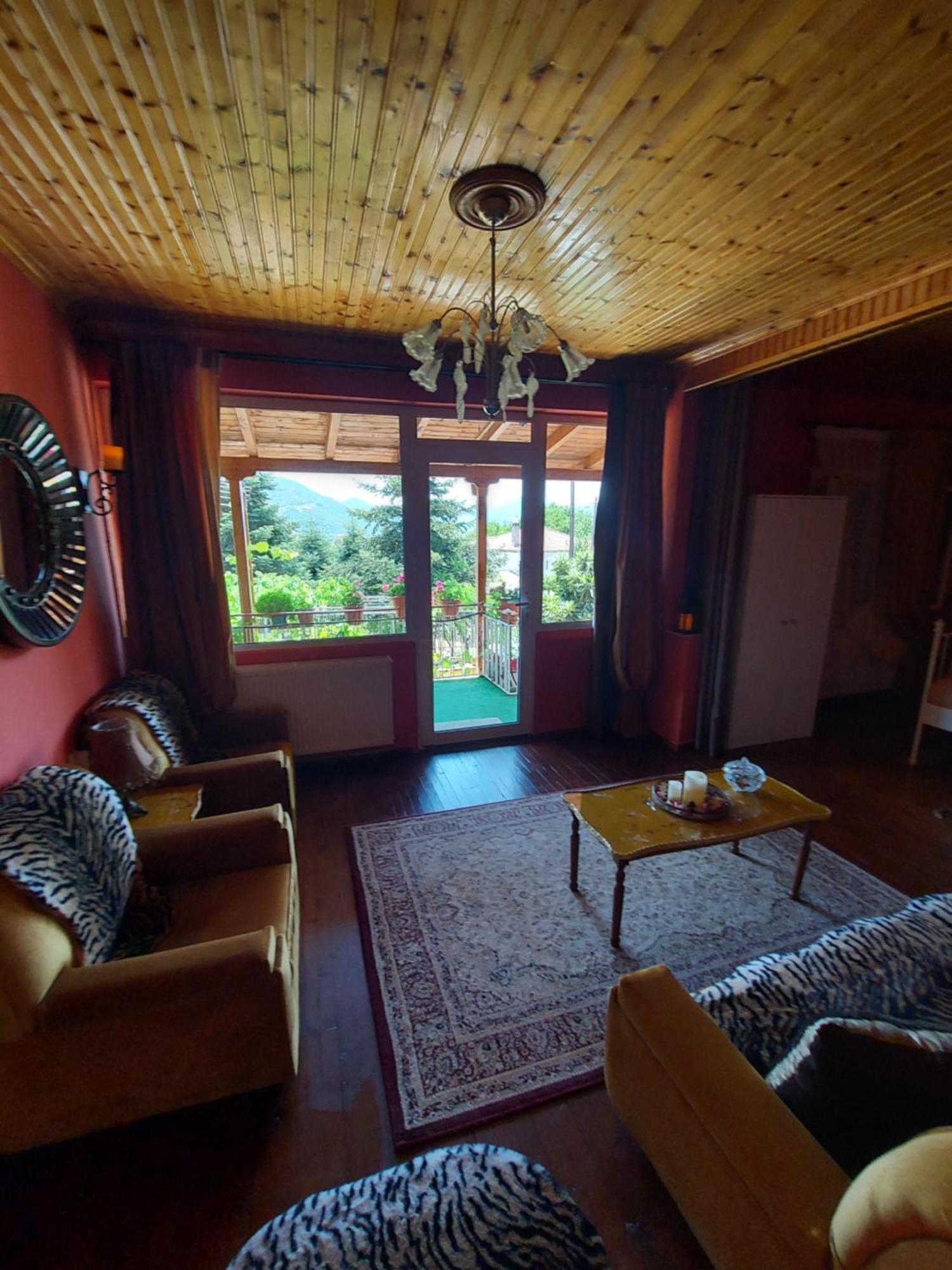Holiday home αρχοντικό θεοδωρου Visoka