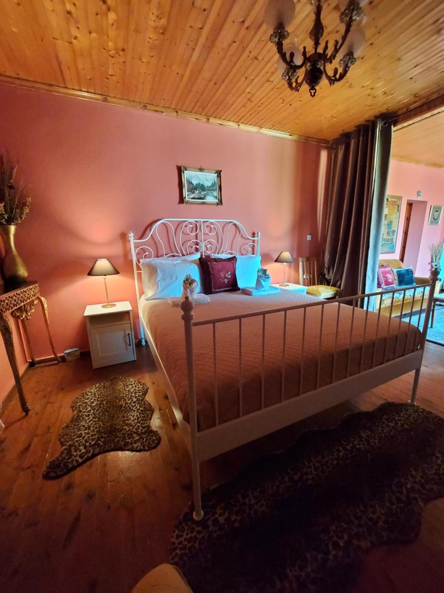 αρχοντικό θεοδωρου Holiday home *