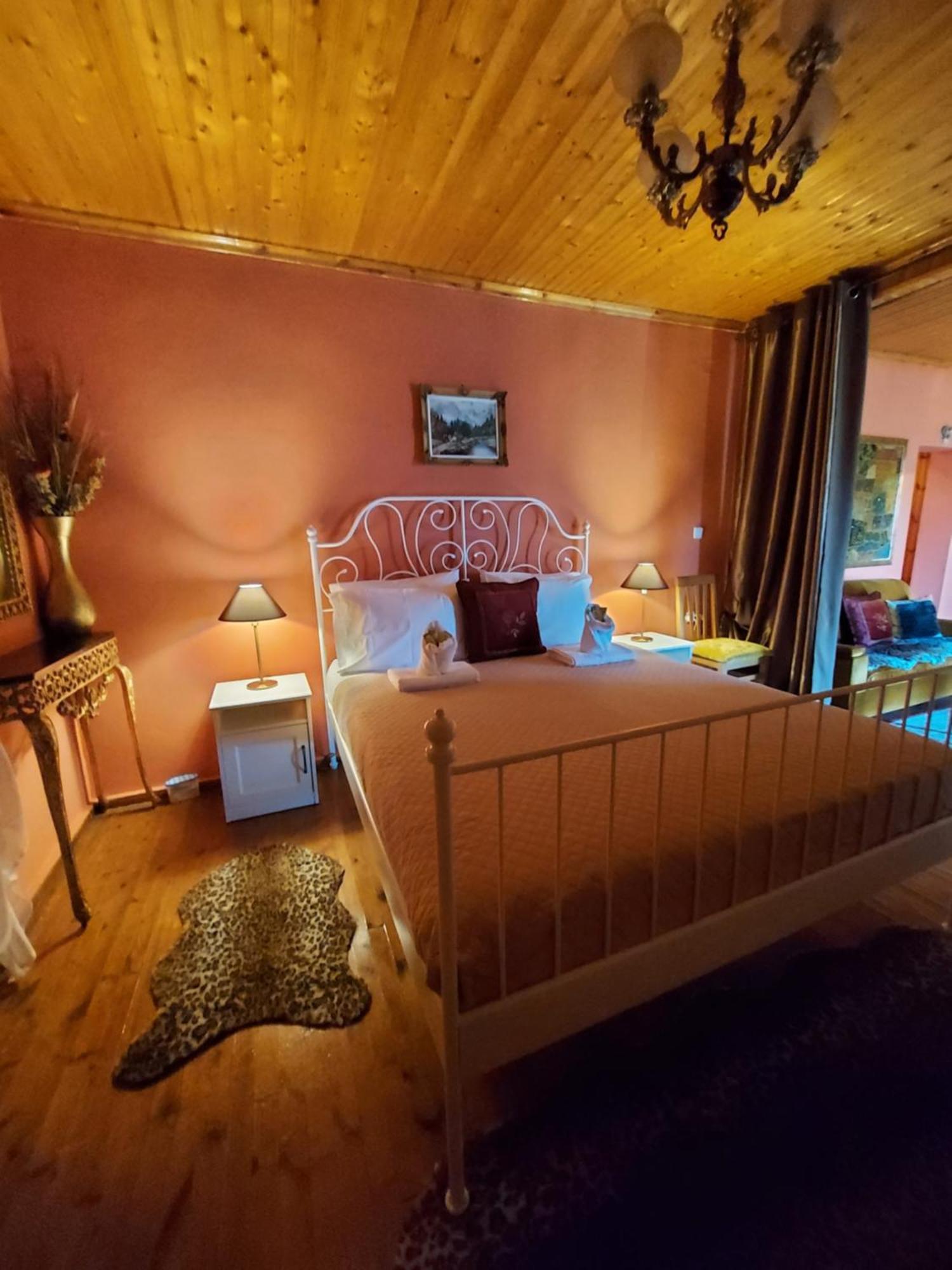 αρχοντικό θεοδωρου Holiday home Visoka